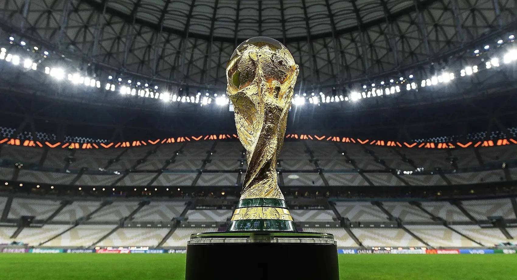 专家预测世界杯胜率超六成，结果成焦点的简单介绍