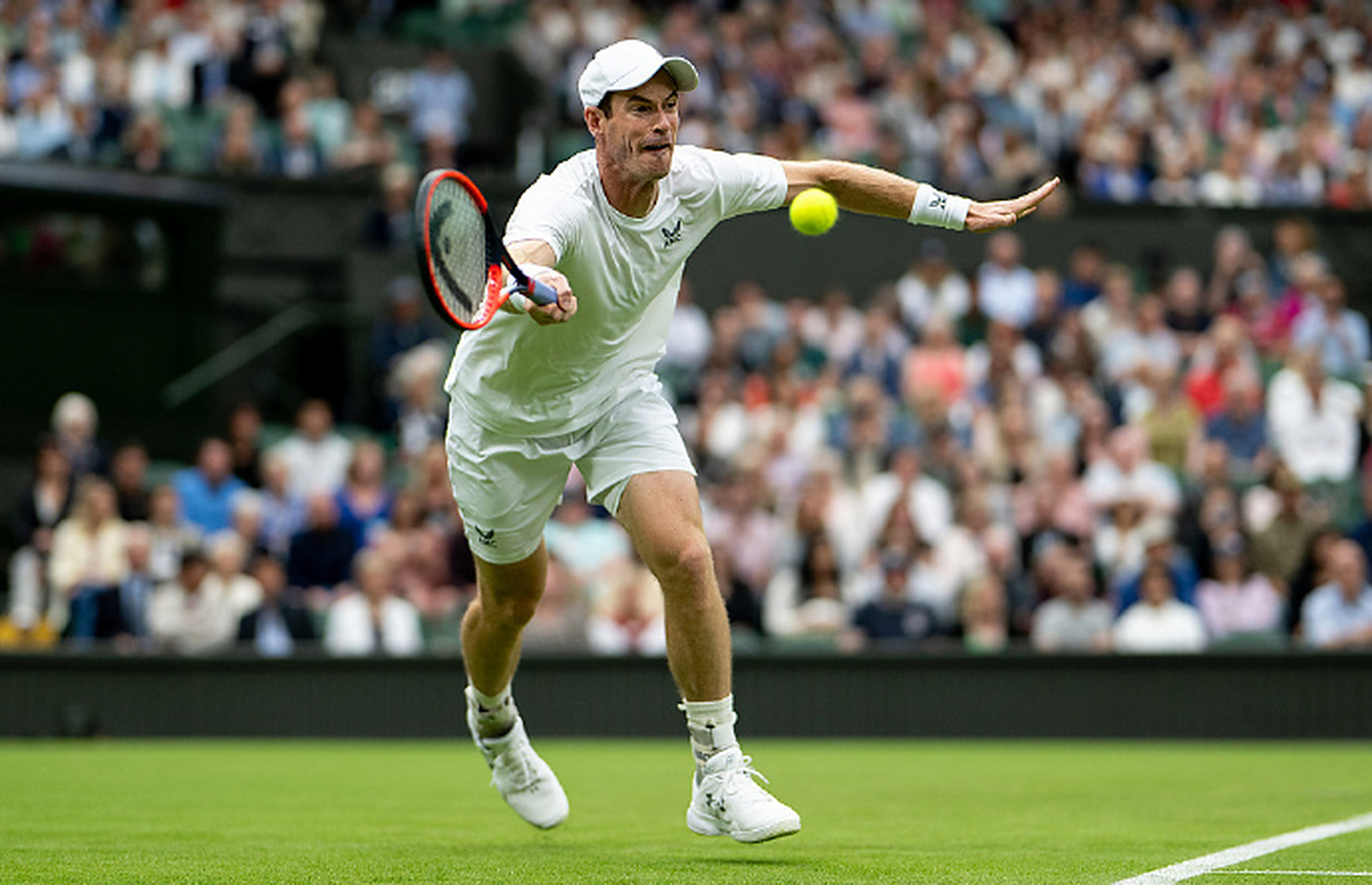 ATP总决赛力克温网,穆雷状态火热 ATP总决赛力克温网,穆雷状态火热