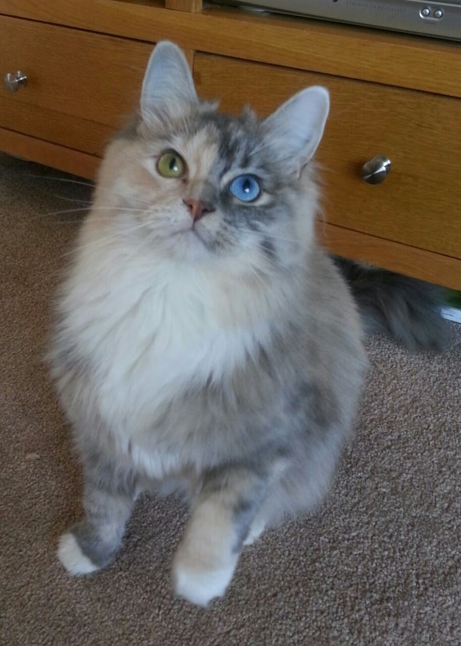 烈焰重燃,当太阳逆转篮网,克莱点燃沉寂的赛场