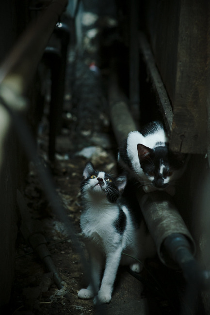 火焰终被冰川覆盖，法国队逆转印尼，安赛龙虽点燃赛场却难挽狂澜