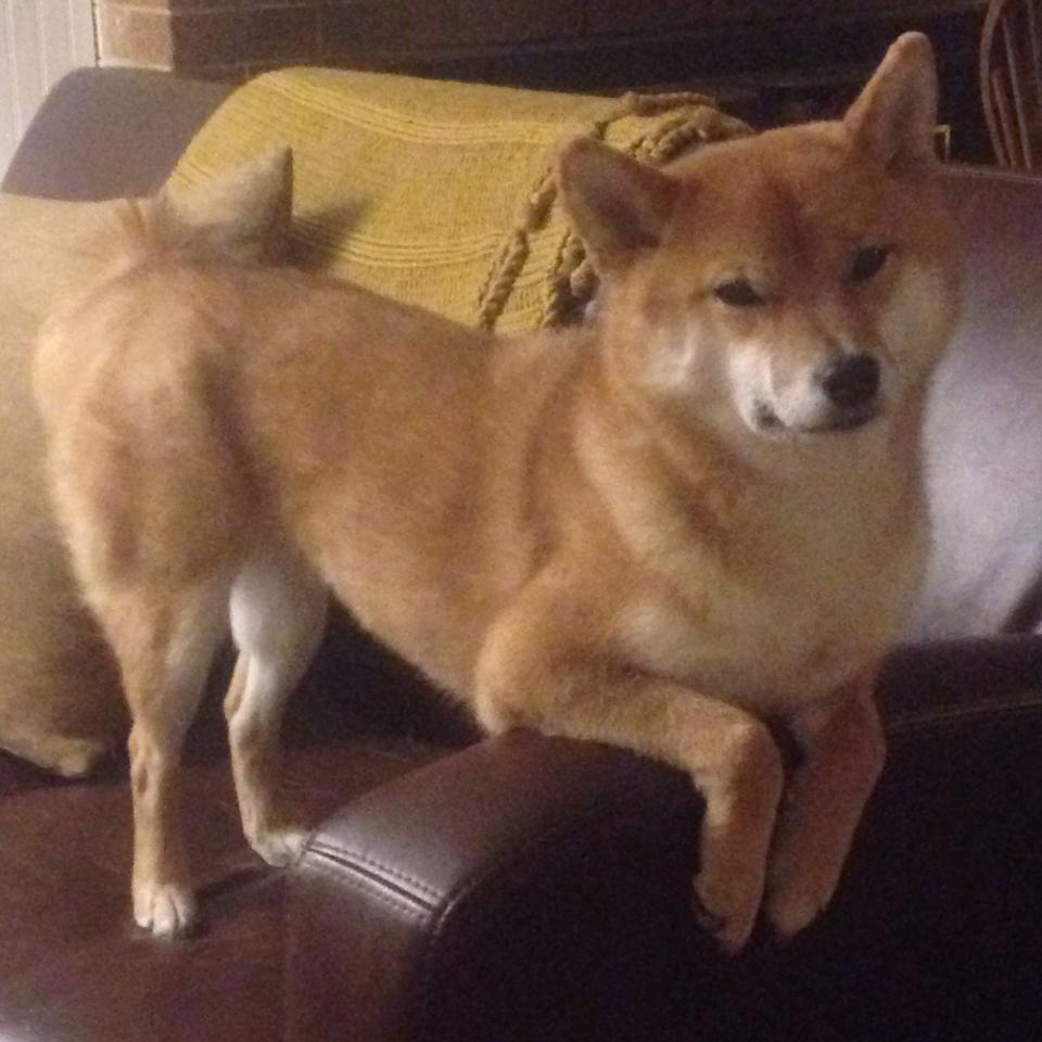 黑色闪电撕破蓝月防线！英超争冠天平倾斜之夜，巴拉圭妖锋让1.2亿防线蒙羞