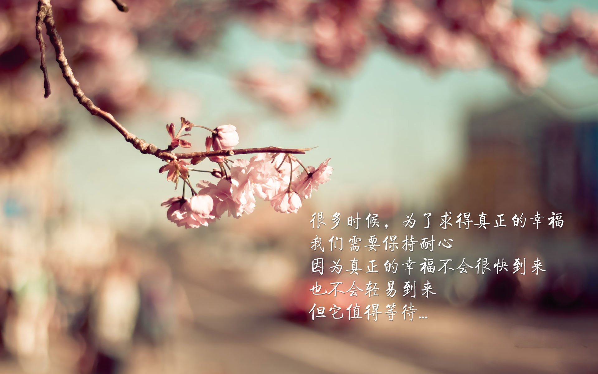 方向盘的博弈,阿劳霍在巴林夜战中的政治隐喻