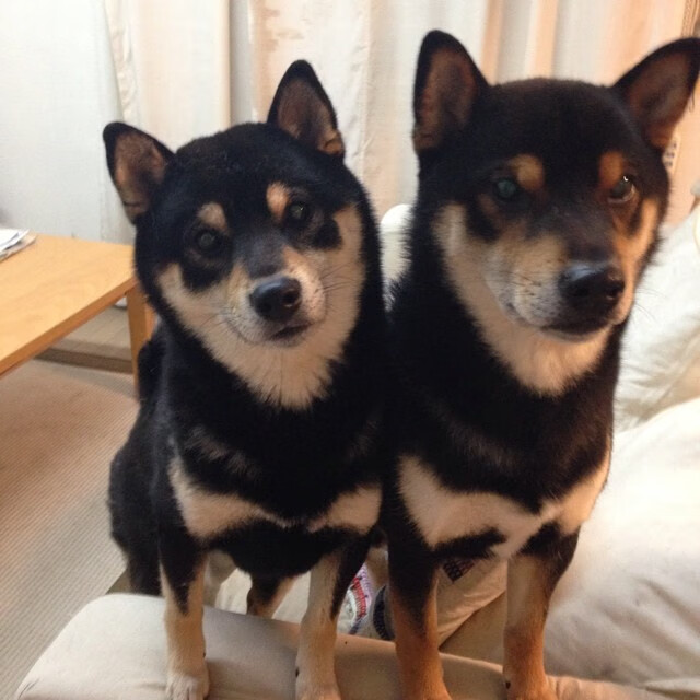 东契奇一手掌控比赛走势，老鹰团队风暴冲垮热火，一场独一无二的篮球盛宴