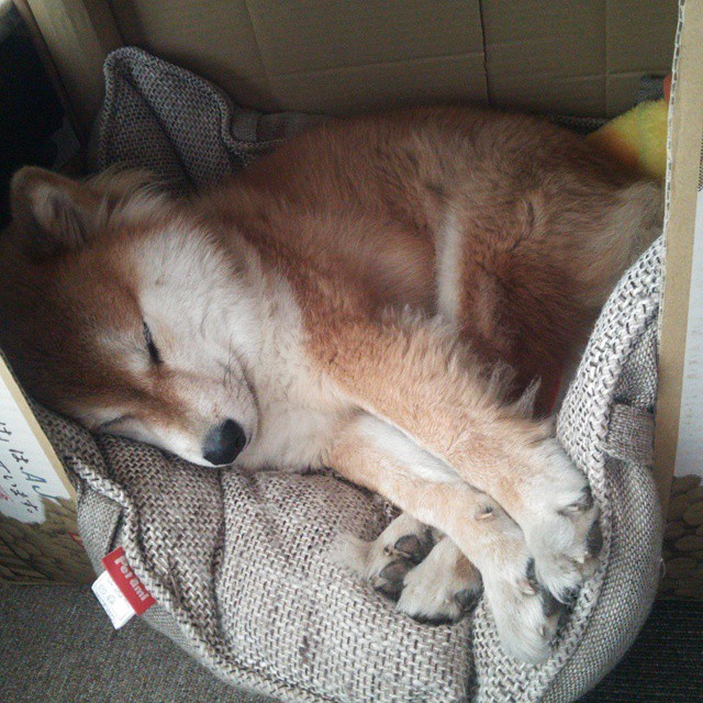 唯一门迪时刻，当绝望的秒针被一记爆射击碎