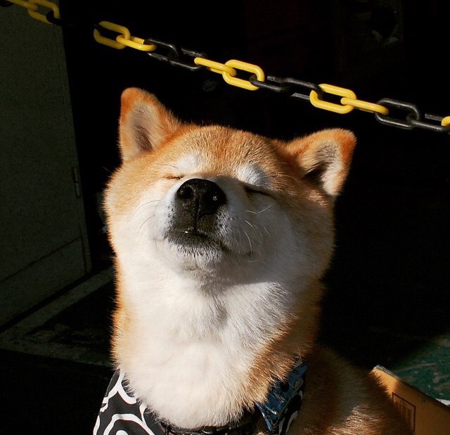 末节风暴与救赎之心,英格拉姆如何打破心魔点燃骑士逆袭之火