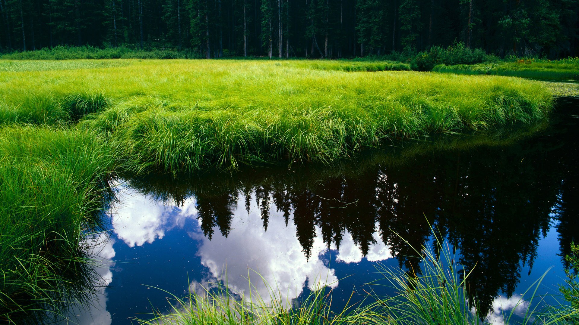 决战新大陆，哈兰德在美加墨之夜的封神之战