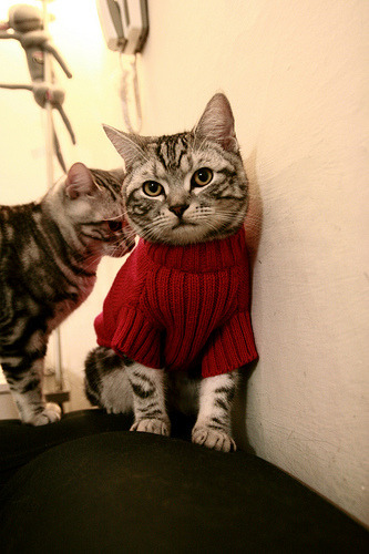 足球撬动外交，当哥斯达黎加冻结伊朗，阿坎吉如何成为关键先生？