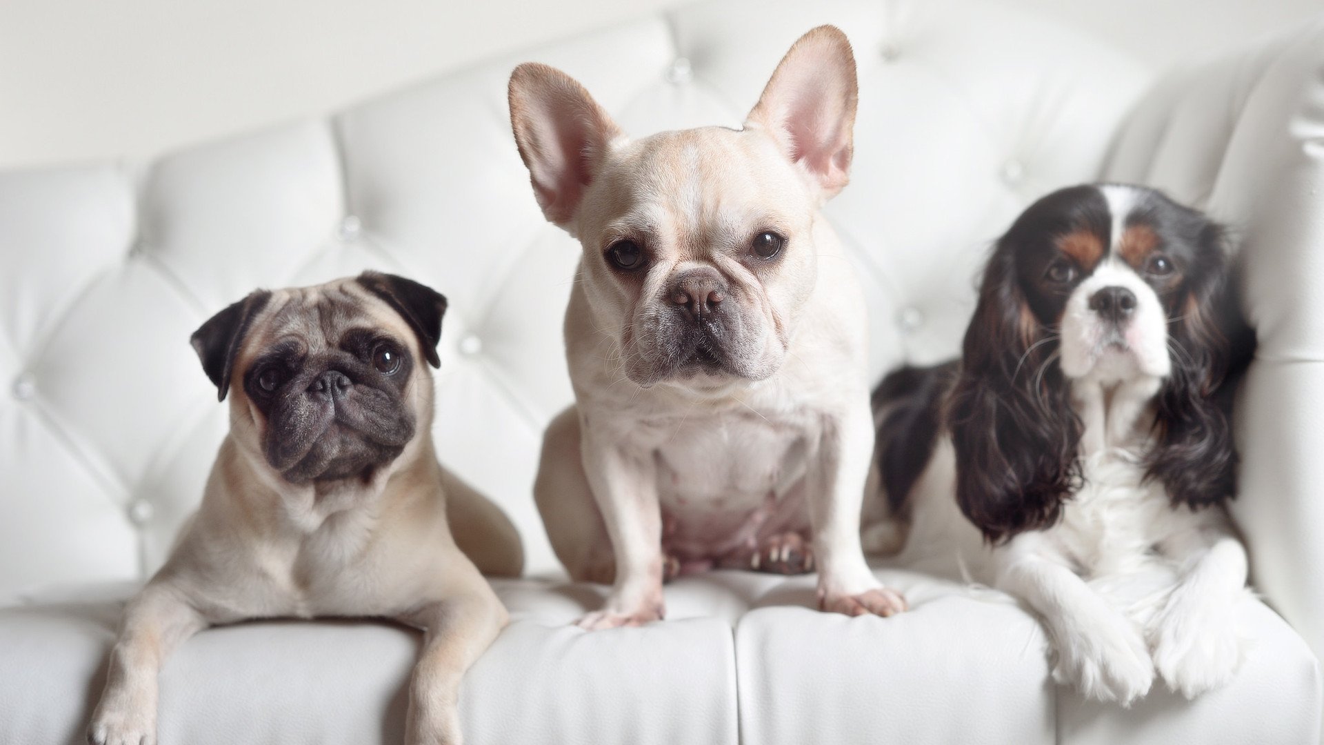 苍穹之矛刺破长夜,文班亚马在年度焦点之战的封神瞬间