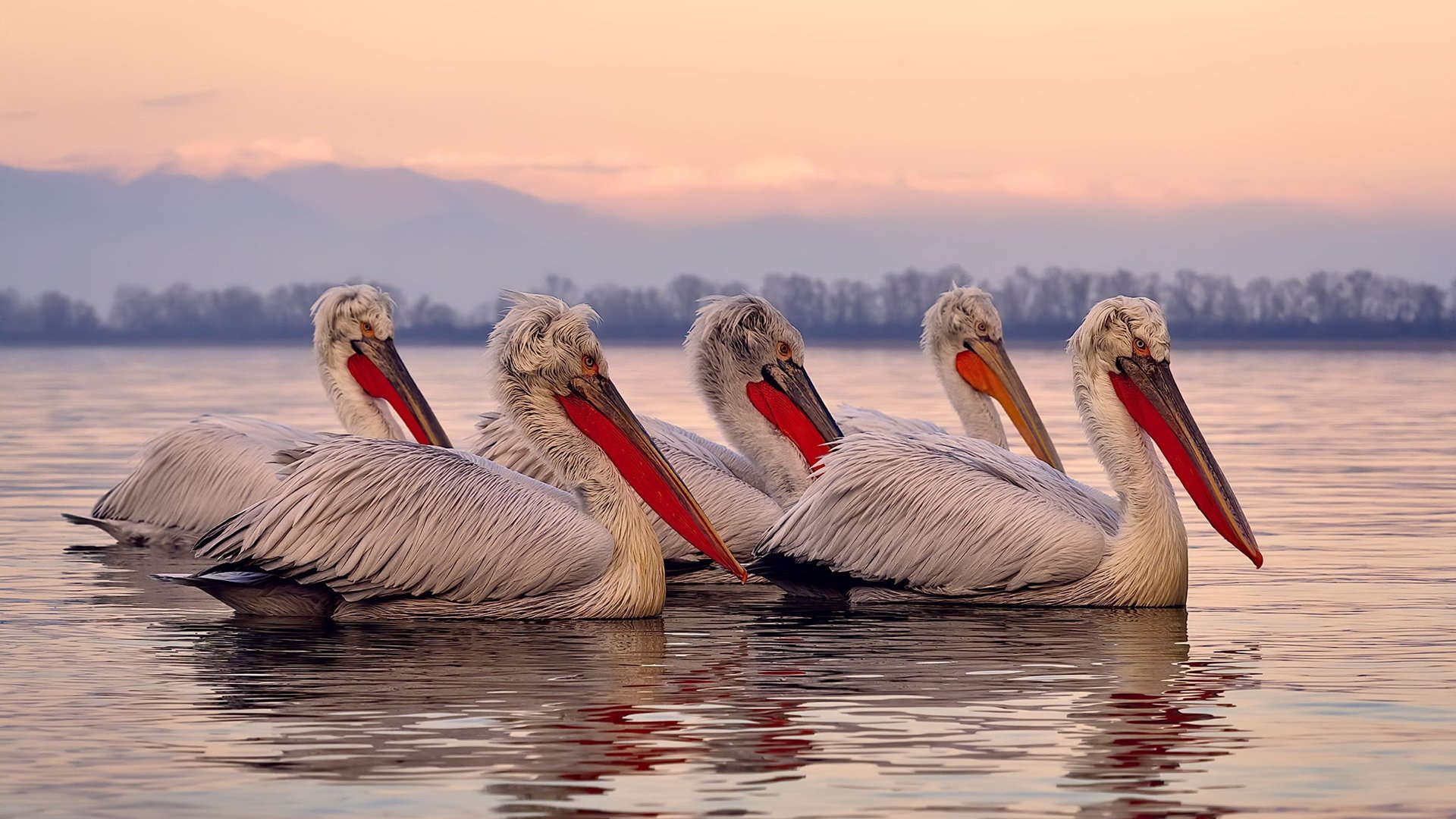 唯一,从0胜到40+詹姆斯用十七年横渡同一条河流