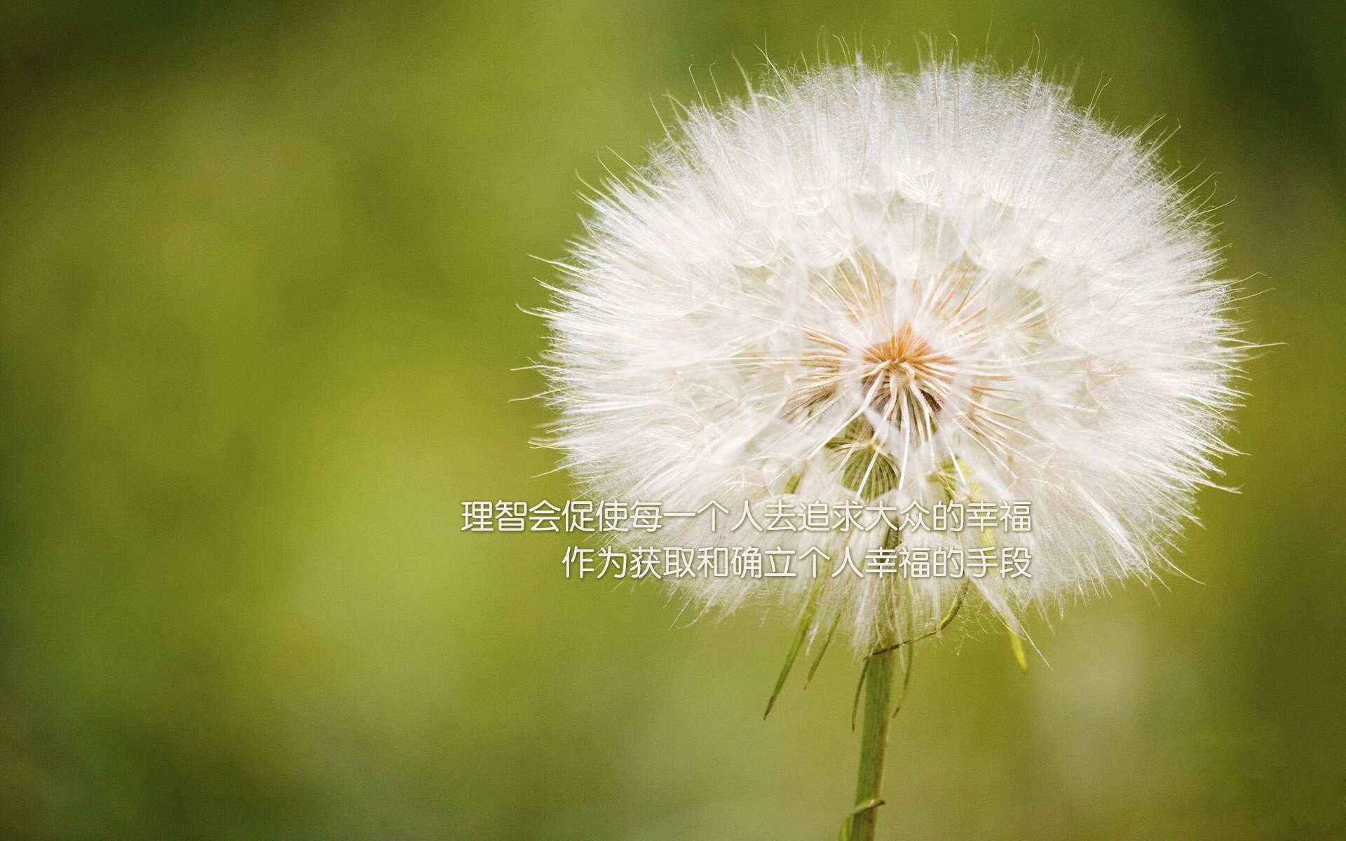 切尔西的奥运行军图，一场生死战如何定义蓝军的黄金四年