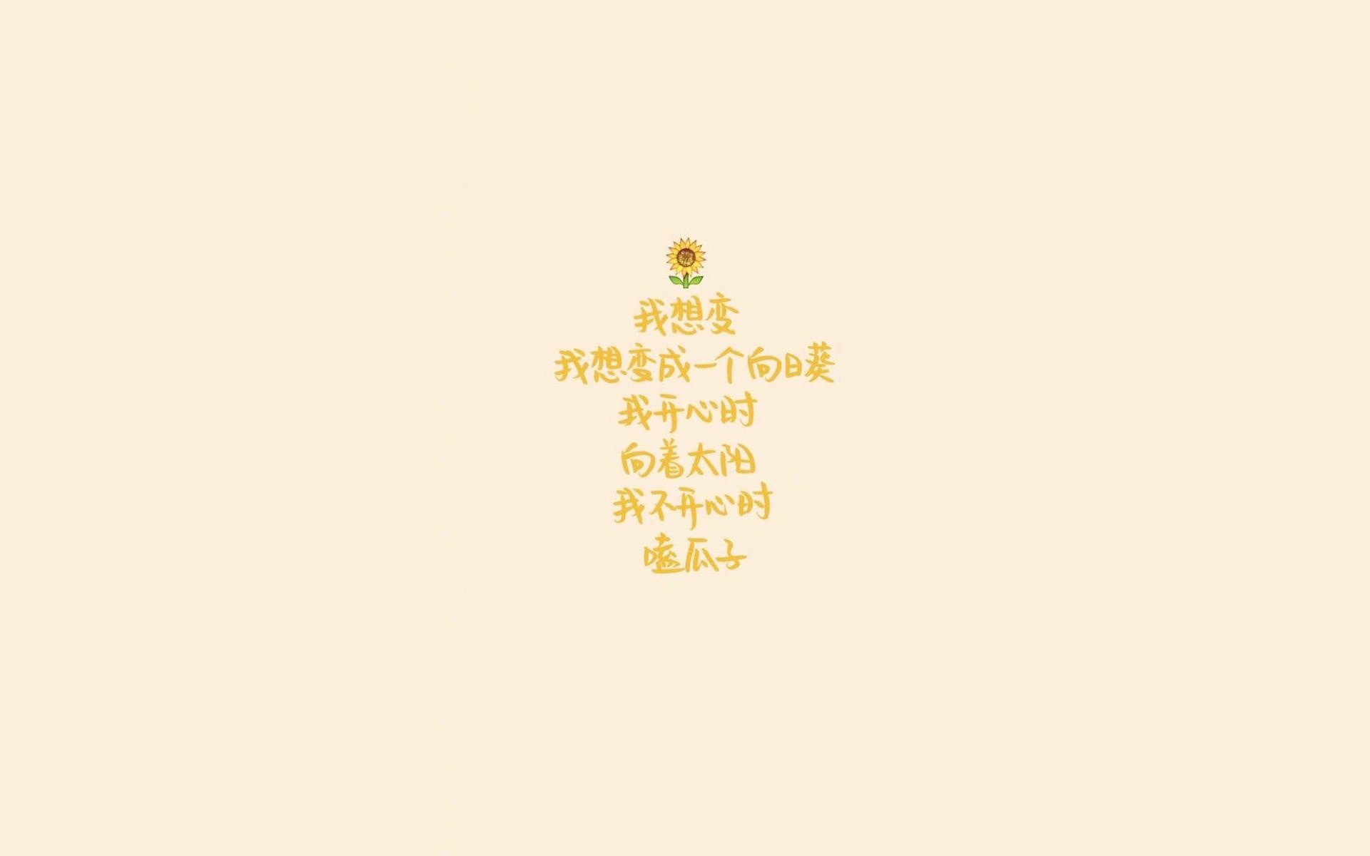 逆转之夜，2026世界杯D组，葡萄牙如何用防守反击与拉什福德的闪电突袭粉碎厄瓜多尔