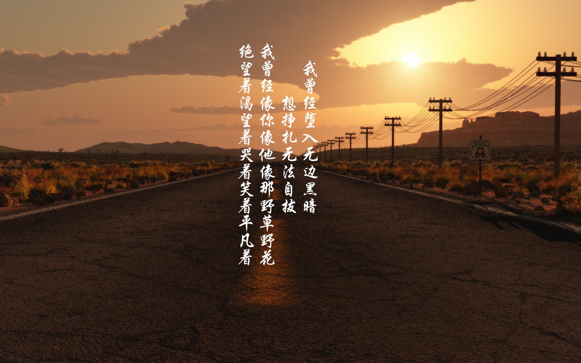 铁血雄狮的孤勇,2026世界杯B组关键战,喀麦隆如何以压制之势击溃波兰,奥斯梅恩扛起非洲荣耀