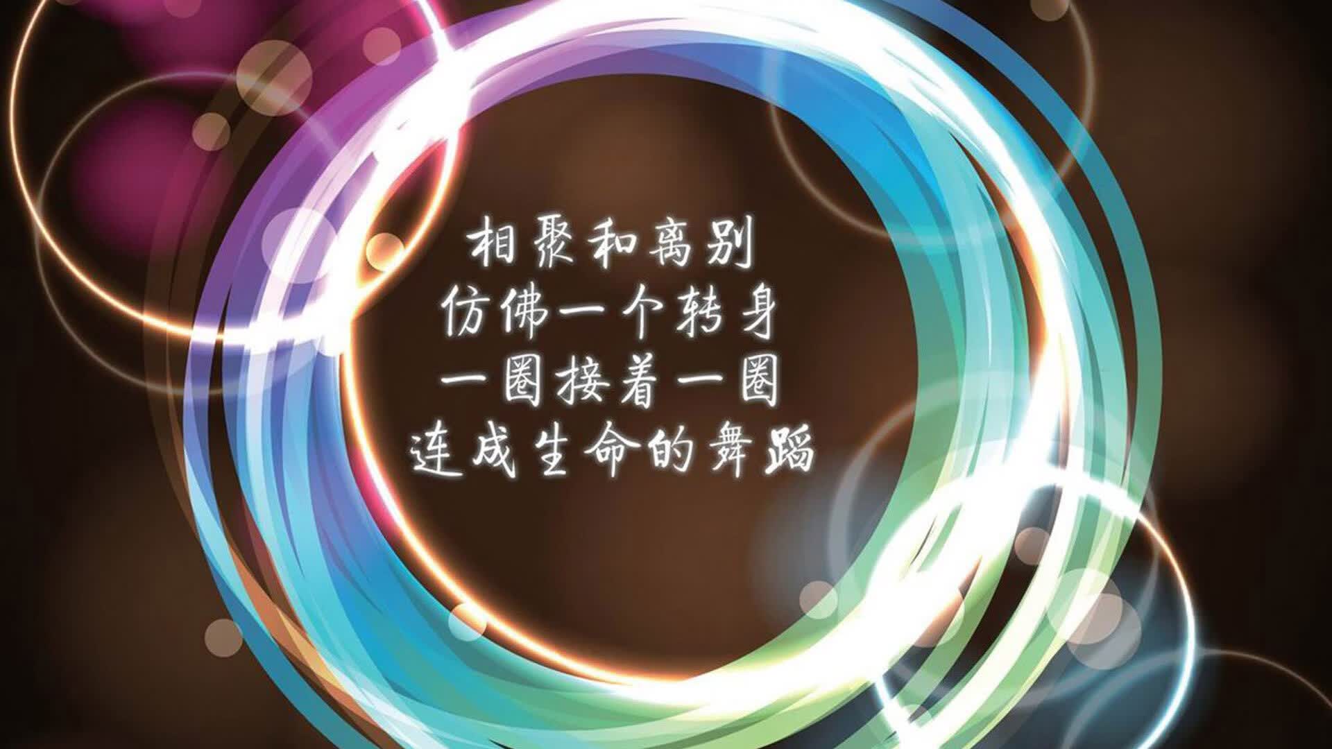 2026世界杯C组焦点战，钢铁防线筑就日耳曼战车，凯恩双响炮德国力克日本