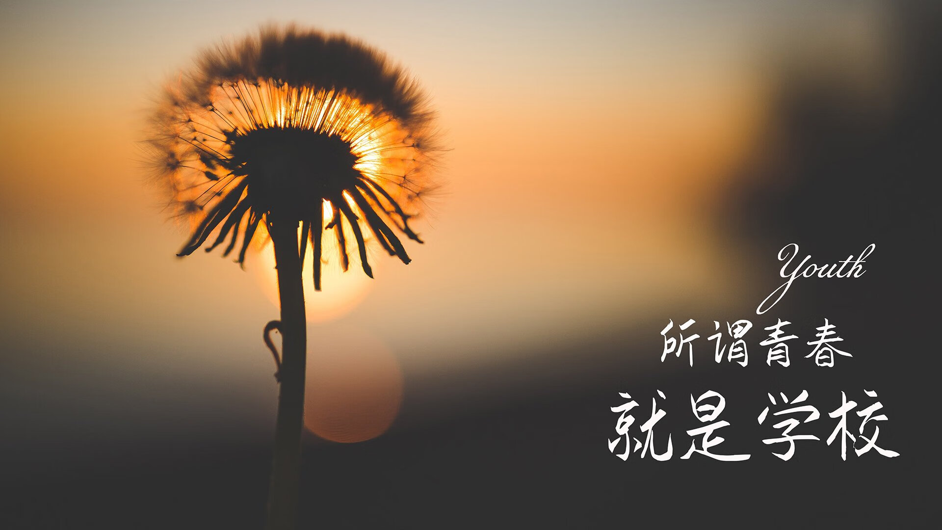 维也纳奇迹，布罗佐维奇导演绝杀，奥地利在2026世界杯巅峰对决中击碎捷克铁骑